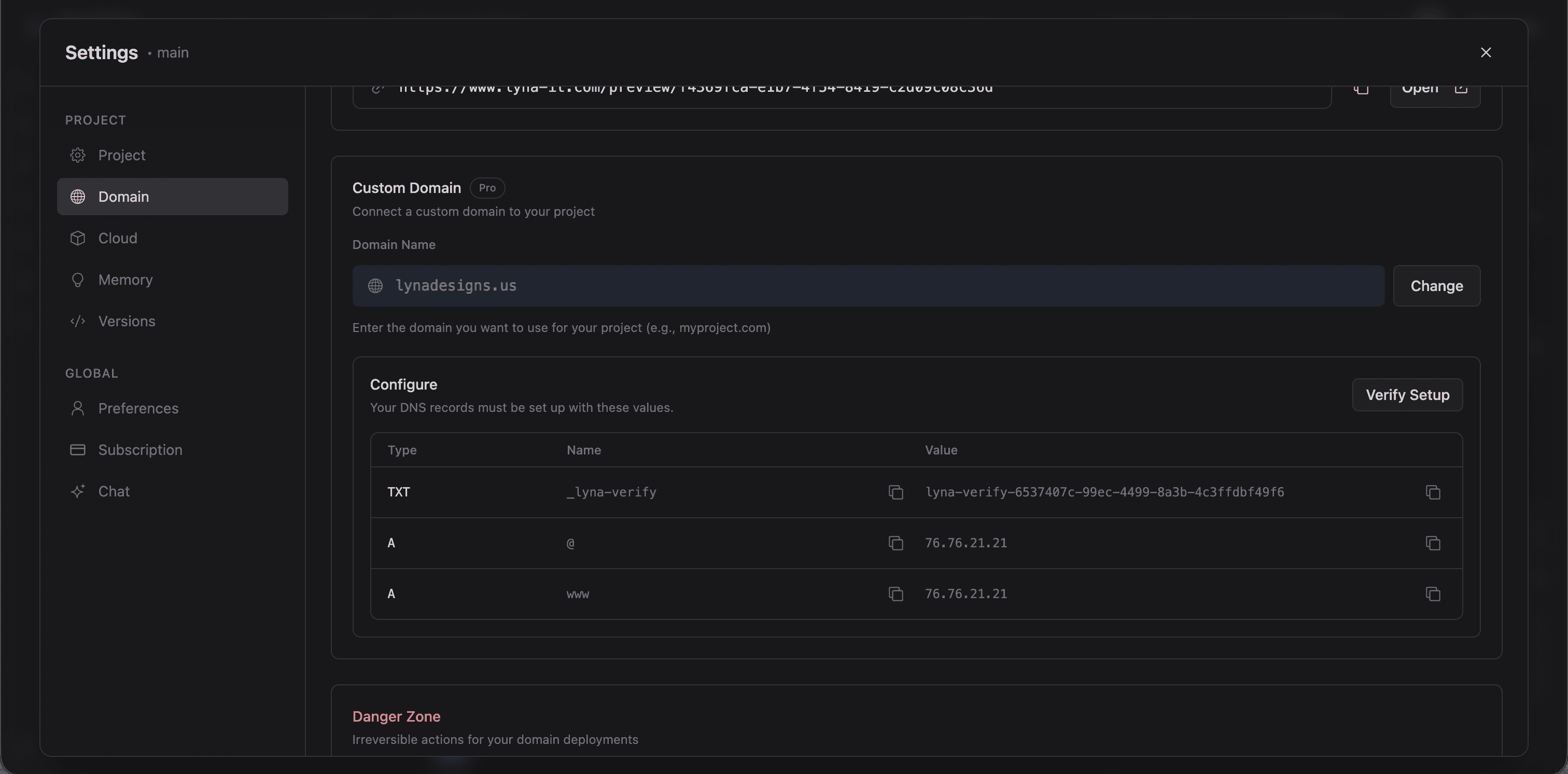 Custom domain settings showing domain input, DNS records table with TXT and A records, and Verify Setup button
