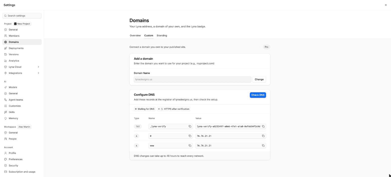 The Custom tab of Domains on Configure DNS, with the TXT and A records, their copy buttons and the Check DNS button.